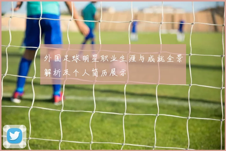 外国足球明星职业生涯与成就全景解析及个人简历展示