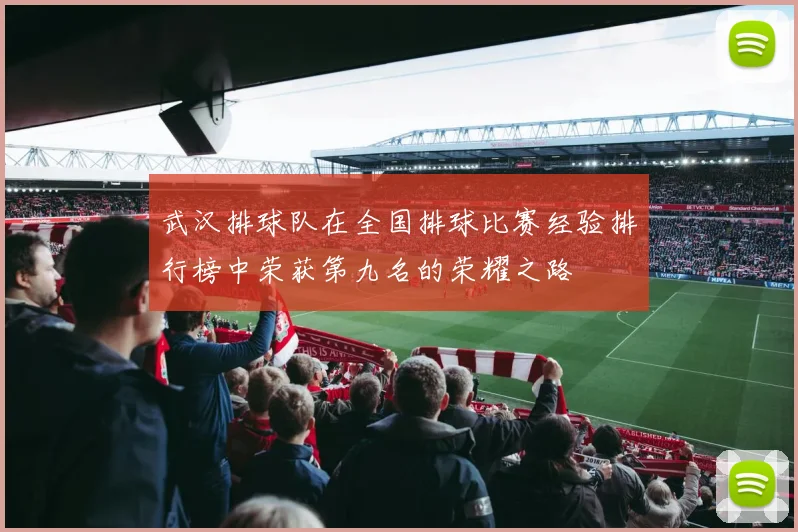 武汉排球队在全国排球比赛经验排行榜中荣获第九名的荣耀之路