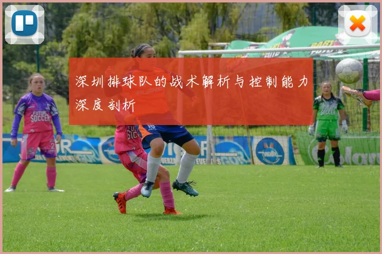 深圳排球队的战术解析与控制能力深度剖析