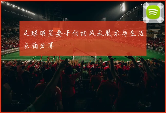 足球明星妻子们的风采展示与生活点滴分享