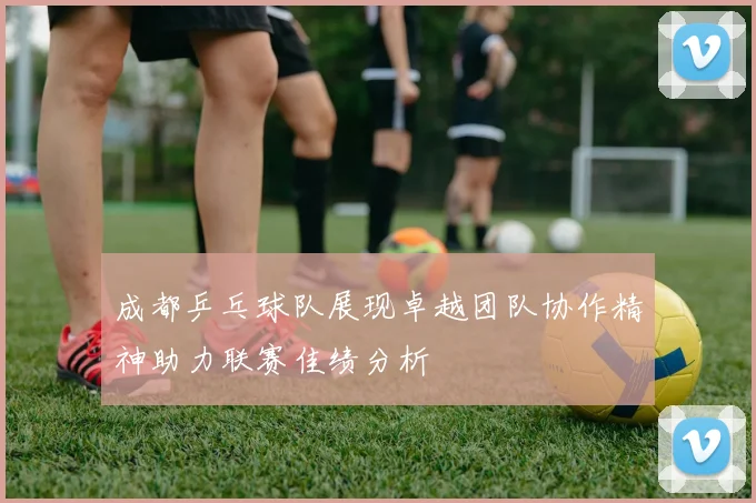 成都乒乓球队展现卓越团队协作精神助力联赛佳绩分析