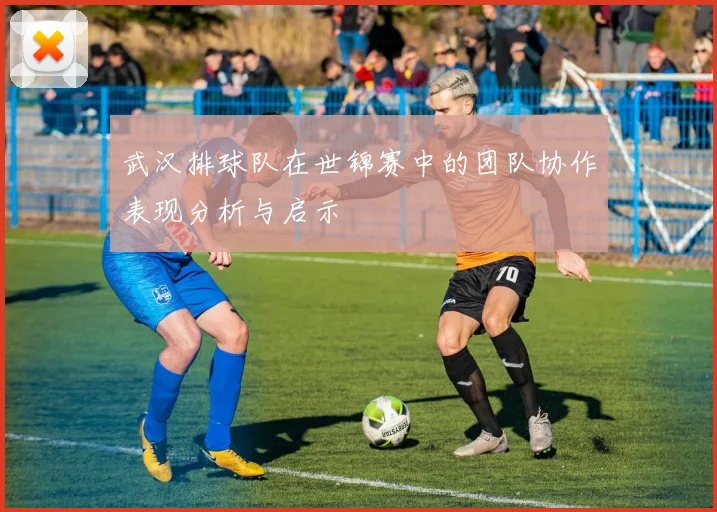 武汉排球队在世锦赛中的团队协作表现分析与启示