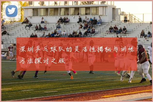 深圳乒乓球队的灵活性揭秘与训练方法探讨之旅