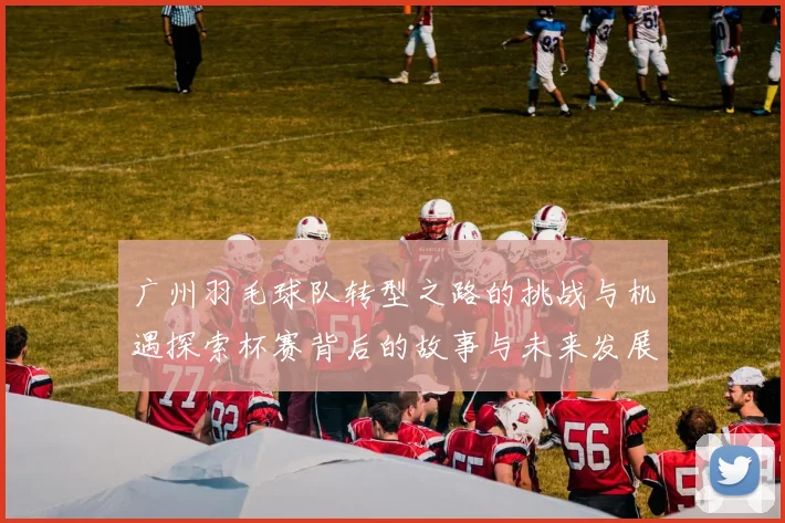 广州羽毛球队转型之路的挑战与机遇探索杯赛背后的故事与未来发展