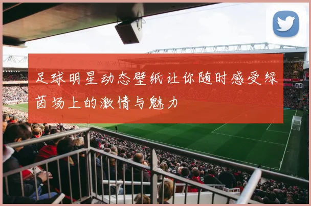 足球明星动态壁纸让你随时感受绿茵场上的激情与魅力